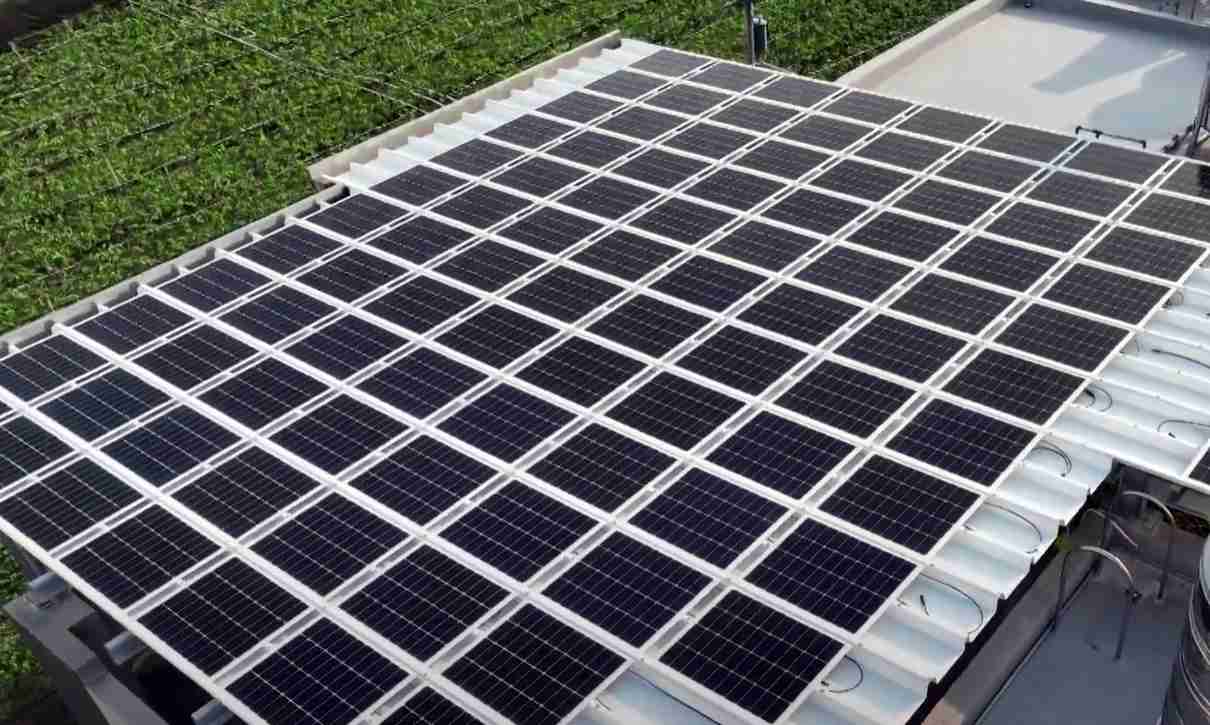 杏悦2SunSteel光电浪板升级双玻结构，，，，以提升机械负载强度及气候耐候度，，，可广泛运用于多元场域